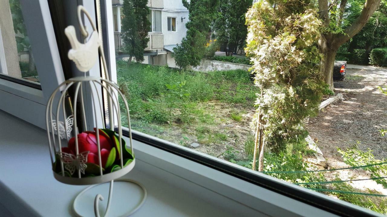 D&O Odobescu Timişoara Exterior foto